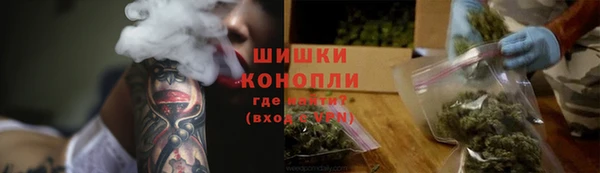 индика Балахна