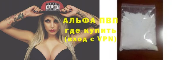 индика Балахна