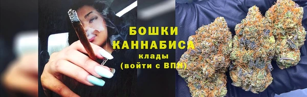 индика Балахна