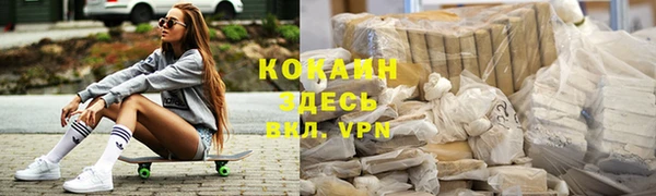 индика Балахна