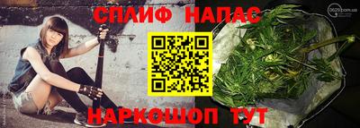 крисы Лесосибирск