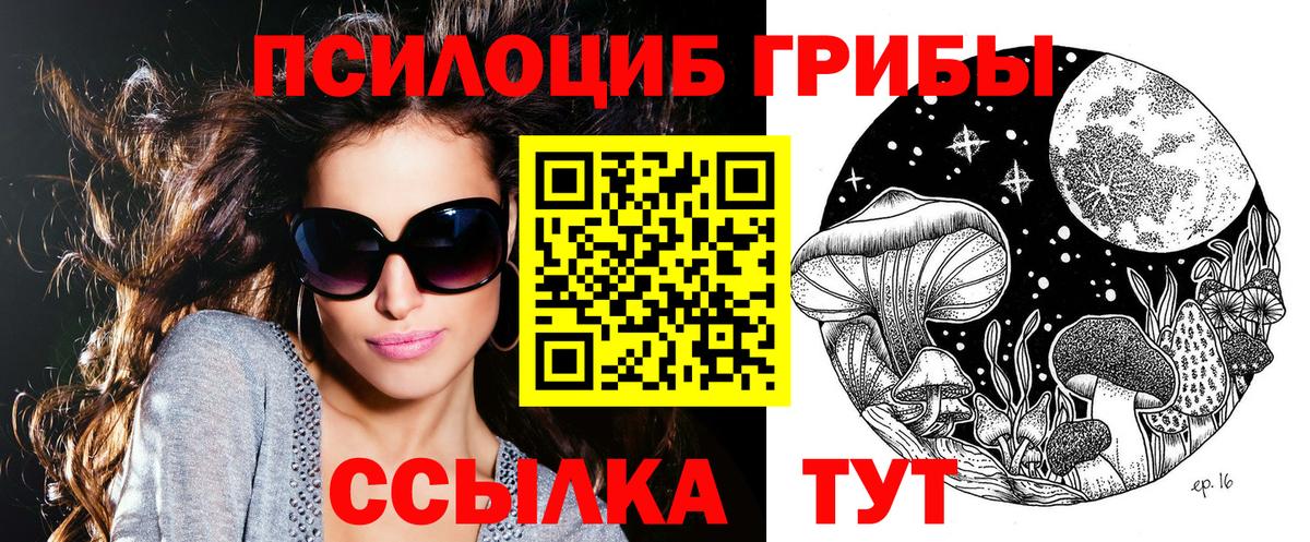 Ессентуки  где купить наркоту  Вход с VPN  Псилоцибиновые грибы Psilocybe 